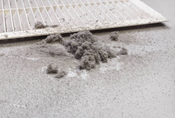 Best Air Duct Cleaning Cost  in Mountain Home, ID